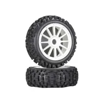  Roda Buggy ...