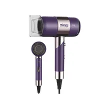 Secador de Pelo Hair Dryer 2000W