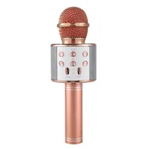  Microfone W...