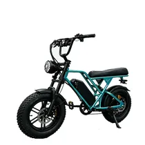 Bike Blulory...