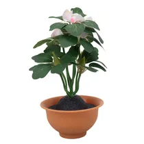 Planta Arti...