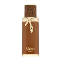 Perfume French Avenue Vulcan Sable Edp 100ML Unissex