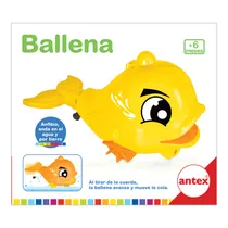  Baleia Ante...