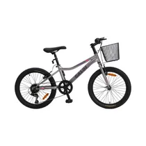  Bicicleta C...