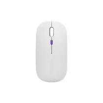Mouse BT/Wir...