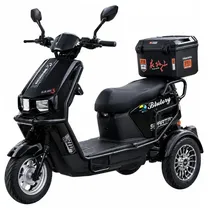 Moto Electri...