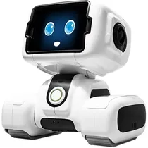 RobÔ Padbot T2