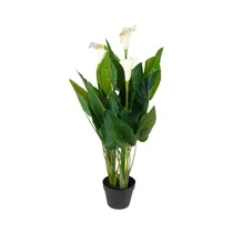  Planta Arti...