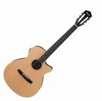  Ibanez Viol...