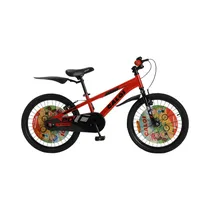 Bicicleta Ca...