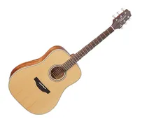  Takamine GD...