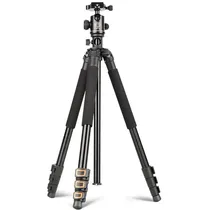  QZSD Q518 T...