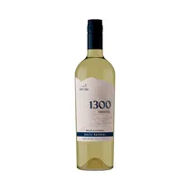  Vino Andelu...