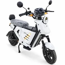 Moto Electri...