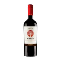  Vino Undurr...