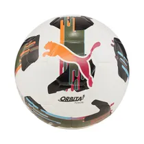  Pelota Puma...