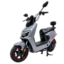 Moto Eletric...
