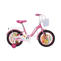 Bicicleta Ca...