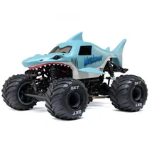  Carro Losi ...