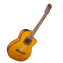  Takamine GC...