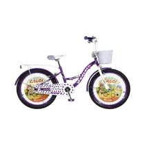 Bicicleta Ca...