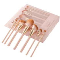 Kit de Pincé...