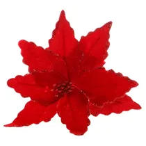  Flor Natali...