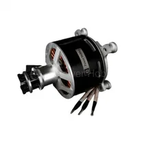 Motor BLS e...