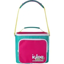  Igloo Conse...