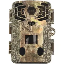  Ausek DL-24...