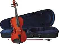  Violino Cer...
