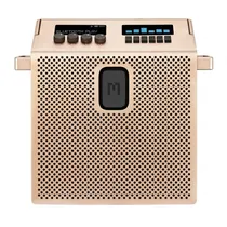 Speaker Mond...