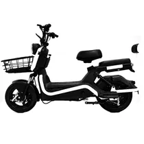 Moto Elétric...