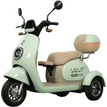 Triciclo Elétrico Smart Wheel Cute 48V/20AH 1000W 32KM/H - Green