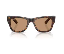  Ray Ban Len...