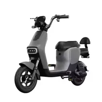Moto Eletric...
