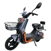 Moto Electri...