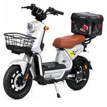 Moto Electri...