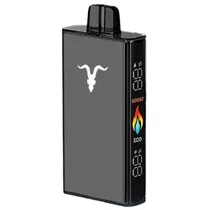 Ignite V250 Black 25000 Puffs Watermelon Dragon Fruit