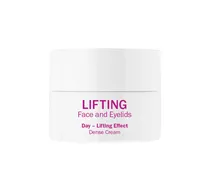  Lifting Fac...