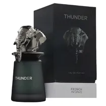 Perfume French Avenue Thunder Eau de Parfum Masculino 100ML