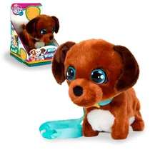  Cachorro In...
