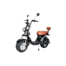 Moto Eletrica Fontaine X13 B1 1000W Lithium Matt Black PY