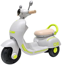 Triciclo Elé...