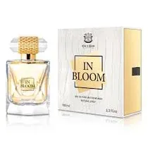  New Brand I...