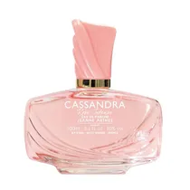 Perfume Jeanne Arthes Cassandra Rose Intense Feminino Eau de Parfum 100ML