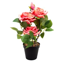  Planta Arti...
