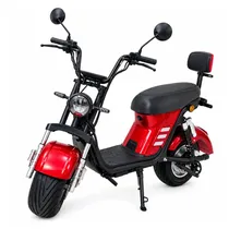  Moto Electr...