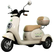 Triciclo Elétrico Smart Wheel Cute 48V/20AH 1000W 32KM/H - Tea Gold