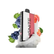  Ignite V400...